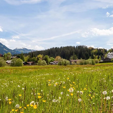 Beautiful Flat In Kirchberg Near The Area Apartment *